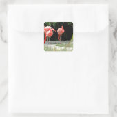 flamingo vierkante sticker (Tas)