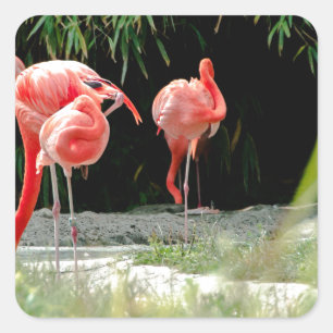 flamingo vierkante sticker