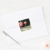 flamingo vierkante sticker (Envelop)