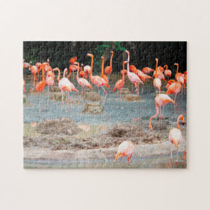 Flamingo Vijver Singapore. Legpuzzel
