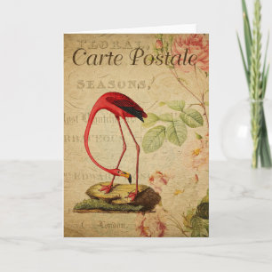 Flamingo Vintage French Postcard Card Kaart