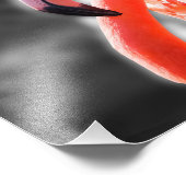 Flamingo Vogelfotografie Foto Afdruk (Hoek)