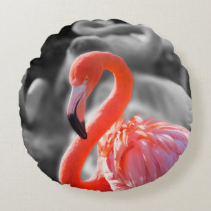 Flamingo Vogelfotografie Rond Kussen