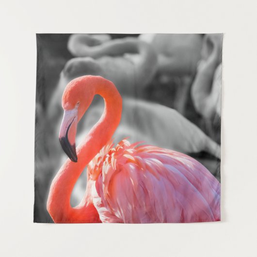 Flamingo Vogelfotografie Wandkleed (Voorkant)