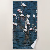 Flamingo vogels in roze en wit op inkwell blauw strandlaken (Voorkant)