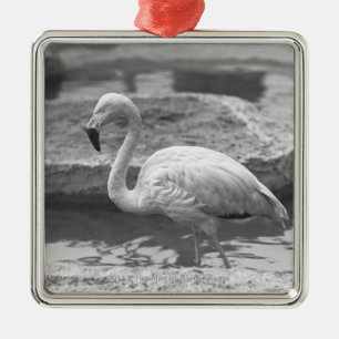 Flamingo wading in water B&W Metalen Ornament
