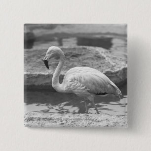 Flamingo wading in water B&W Vierkante Button 5,1 Cm