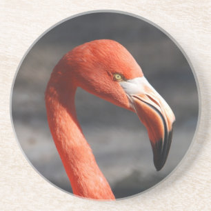 Flamingo Zandsteen Onderzetter