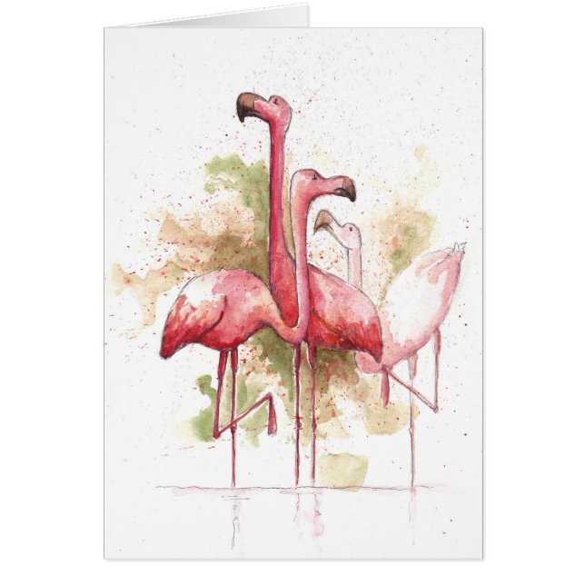 Flamingos (Devant)