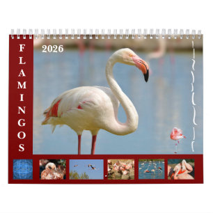 Flamingos 12-maandkalender kalender