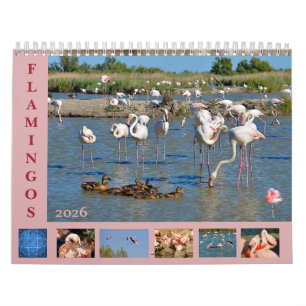 Flamingos 12-maandkalender kalender