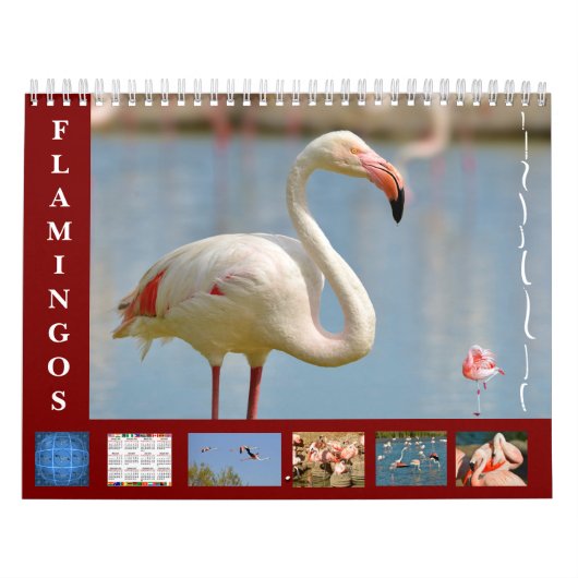 Flamingos 12-maandkalender kalender (Hoes)