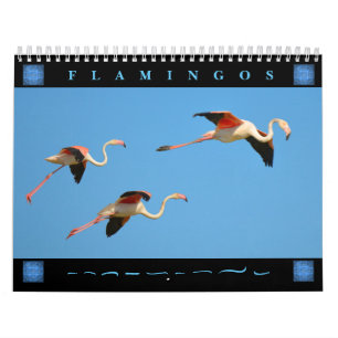 Flamingos 12-maandkalender kalender