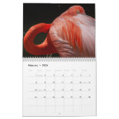 Flamingos 2019 Wall Calendar Kalender (Feb 2026)