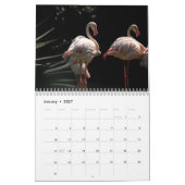 Flamingo's 2025 kalender (Jan 2027)