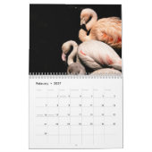 Flamingo's 2025 kalender (Feb 2027)
