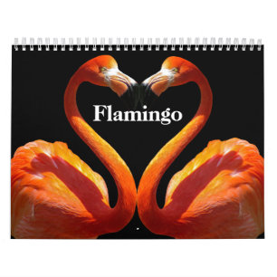 Flamingo's 2025 kalender