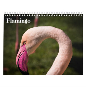 Flamingo's 2025 kalender