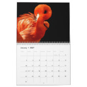 Flamingo's 2025 kalender (Jan 2027)