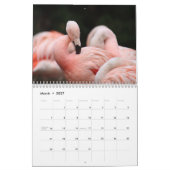 Flamingo's 2026 kalender (Mar 2027)