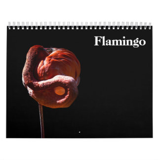 Flamingo's 2027 kalender
