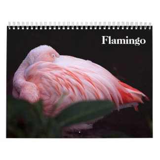 Flamingo's 2027 kalender