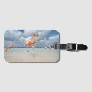 Flamingos Beach Aruba Bagagelabel
