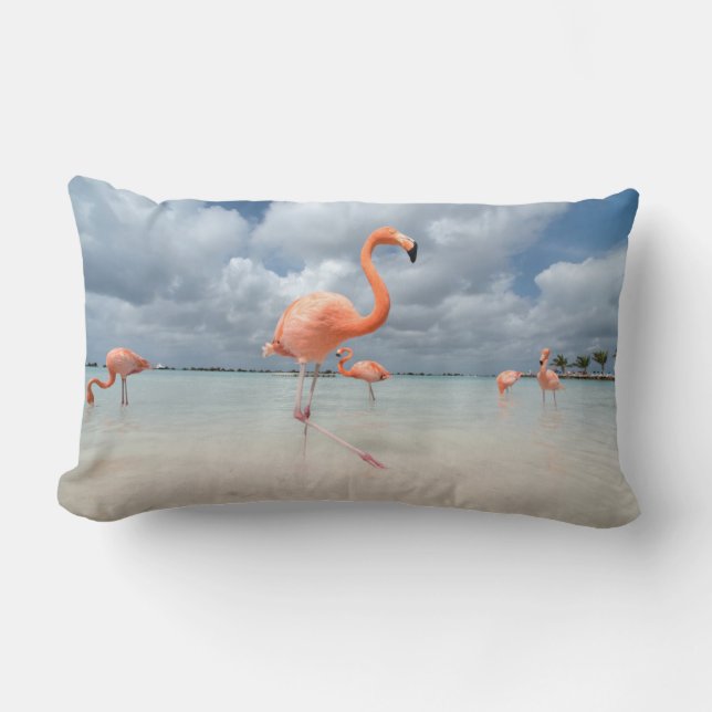 Flamingos Beach Aruba Kussen (Voorkant)