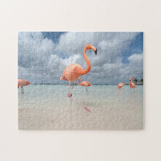 Flamingos Beach Aruba Legpuzzel (Horizontaal)