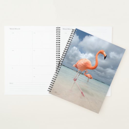 Flamingos Beach Aruba Planner (Display)