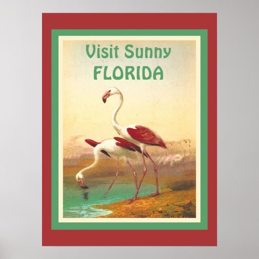  Flamingos bezoekt het toerisme in Florida Poster (Voorkant)