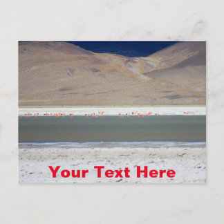 Flamingo's bij Salar del Huasco, Chili, aanpasbaar Briefkaart
