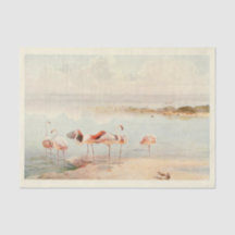 Flamingo's Bird Ephemera Decoupage  kunst