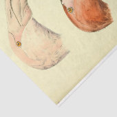 Flamingo's Bird Ephemera Decoupage Tissuepapier (Detail)