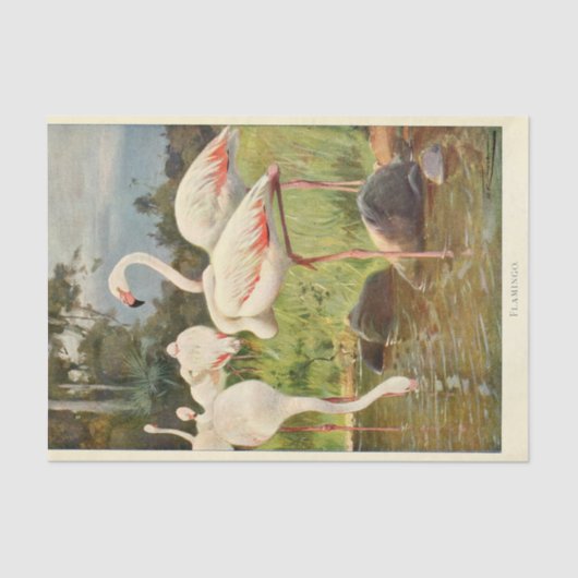 Flamingo's Bird Ephemera Decoupage Tissuepapier (Voorkant)
