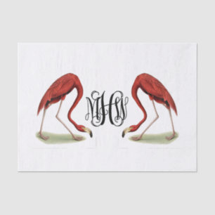 Flamingos Black Vine Script Monogram DIY BG Tissuepapier