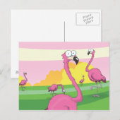 flamingo's briefkaart (Voorkant / Achterkant)