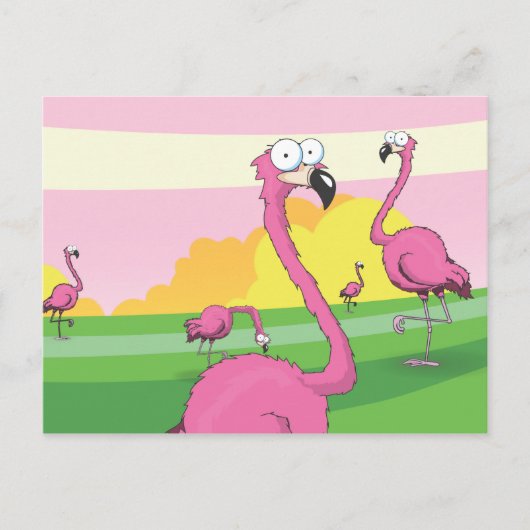 flamingo's briefkaart (Voorkant)