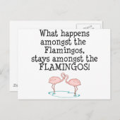 Flamingos Briefkaart (Voorkant / Achterkant)