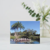 Flamingos Briefkaart (Staand voorkant)