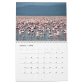 Flamingos Calendar Kalender (Jan 2026)