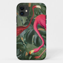 Flamingos