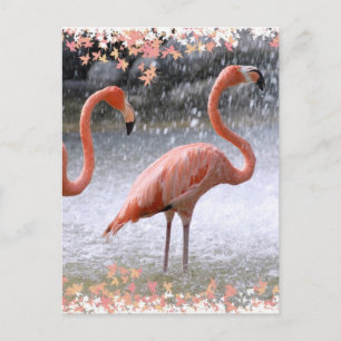 Flamingos en waterval briefkaart