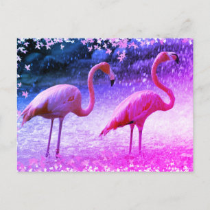 Flamingos en waterval briefkaart