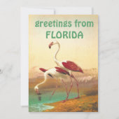  Flamingos-groeten uit Florida Kaart (Voorkant)
