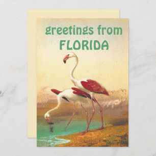  Flamingos-groeten uit Florida Kaart
