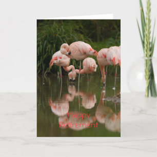 Flamingos Happy Retirement Card Kaart