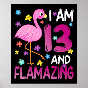 Flamingos  Ik ben 13 jaar na 13e verjaardag ontvla Poster