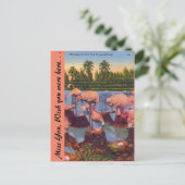 Flamingos in Florida Briefkaart (Staand voorkant)