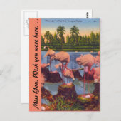 Flamingos in Florida Briefkaart (Voorkant / Achterkant)